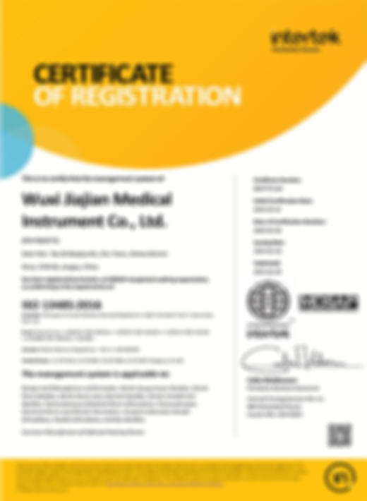 MDSAP system certification